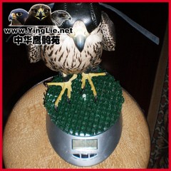 鹰具称电子秤进口草皮称训鹰控制体重拉膘出猎防飘麻轴鹰鹘苑特价